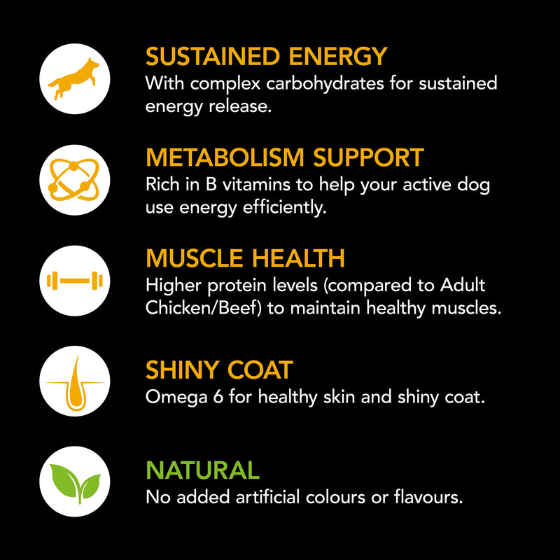 Supercoat Beef Active Adult Dry Dog Food 18kg