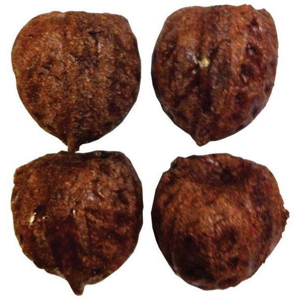 Veggie Patch Nibblers Walnut Small Animal Treat 4 Pack-Habitat Pet Supplies