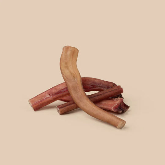 Wag Bully Stick Regular Dog Chew Treat