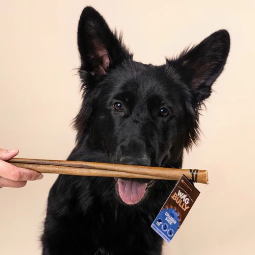 Wag Collagen Stick Large Dog Chew Treat