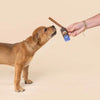 Wag Collagen Stick Regular Dog Chew Treat