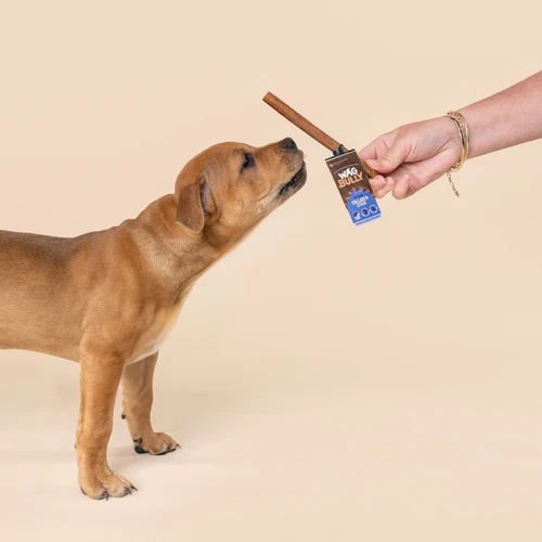 Wag Collagen Stick Regular Dog Chew Treat