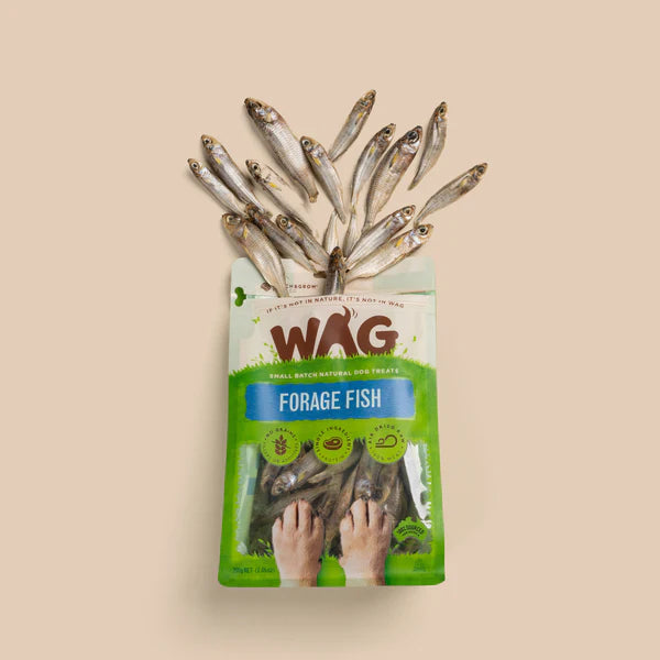 Wag Forage Fish 200G