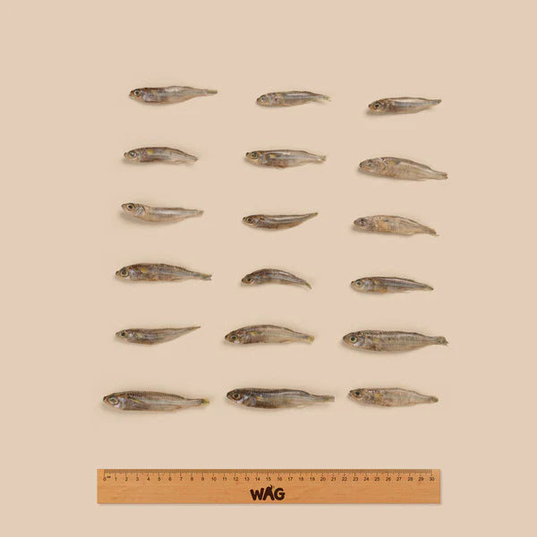 Wag Forage Fish 200G
