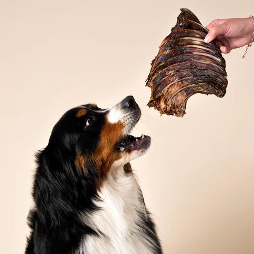 Wag Kangaroo Rib Rack Dog Chew Treat
