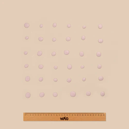 Wag Yoghurt Drops Strawberry Dog Treats 250g