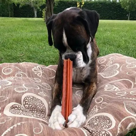 Whimzees Stix Dental Medium Dog Treat