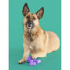 Yomp FunnyBone BPA Free Food Grade Silicone Dog Toy