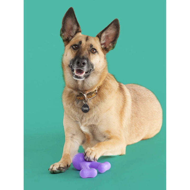 Yomp FunnyBone BPA Free Food Grade Silicone Dog Toy