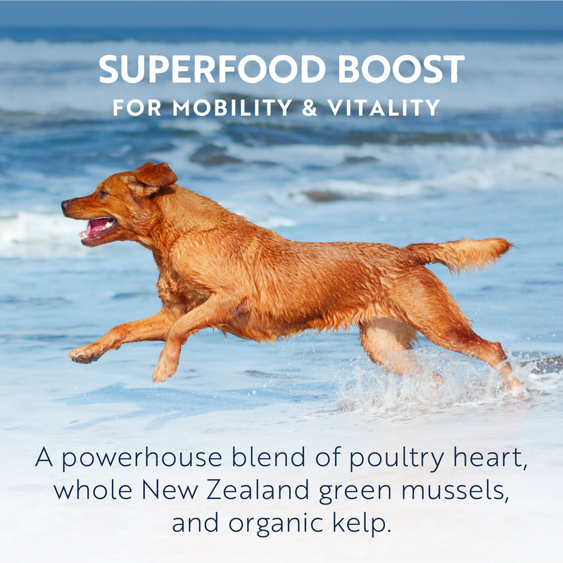 ZIWI Peak Wet Chicken Recipe Dog Food 390g