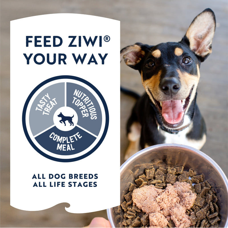 ZIWI Peak Wet Lamb Recipe Dog Food 390g