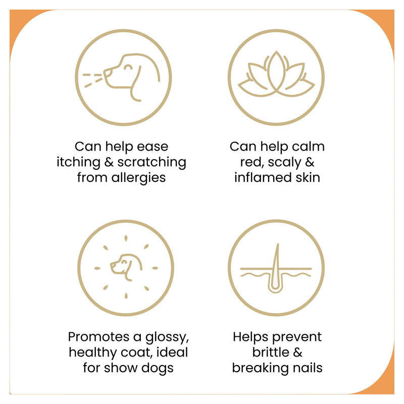 ZamiPet Allergy and Itch Chews for Dogs 300g 60 Pack