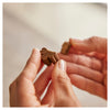 ZamiPet Allergy and Itch Chews for Dogs 300g 60 Pack ^._.^