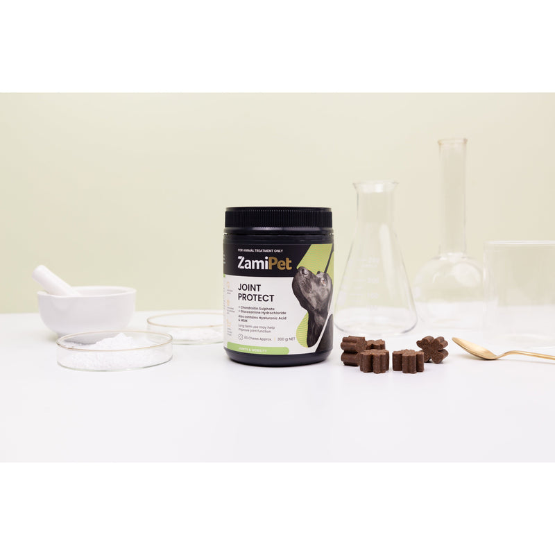 ZamiPet Joint Protect Chews for Dogs 500g 100 Pack ^._.^