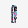 Zee.Dog Blast Dog Collar Extra Small-Habitat Pet Supplies