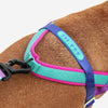 Zee.Dog Softer Walk Shockwave Dog Harness Large
