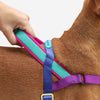 Zee.Dog Softer Walk Shockwave Dog Harness Large