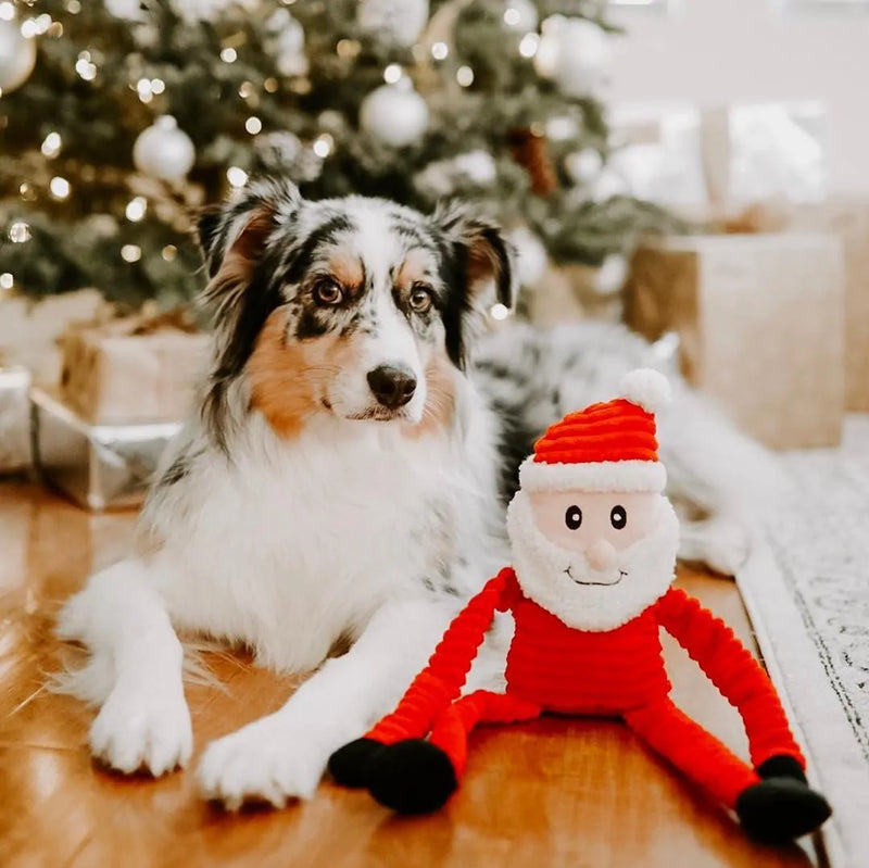 Zippy Paws Christmas Crinkle Santa Dog Toy Small
