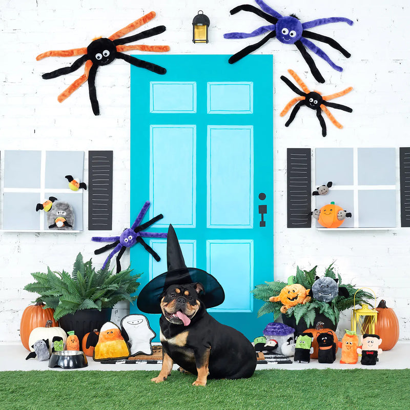 Zippy Paws Halloween Orange Spiderz Small Dog Toy --^--