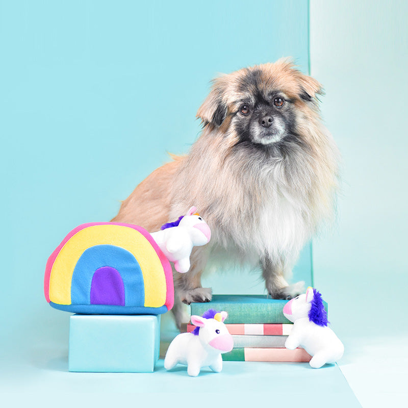 Zippy Paws Unicorn and Rainbow Burrow Dog Toy (+_+)