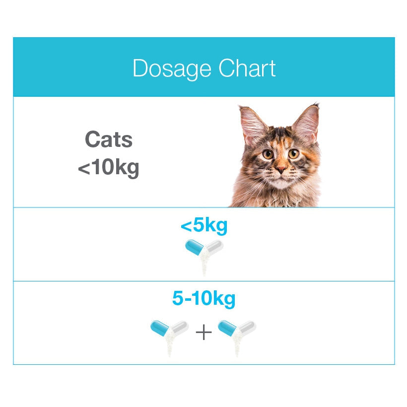 Zylkene dosage deals for cats