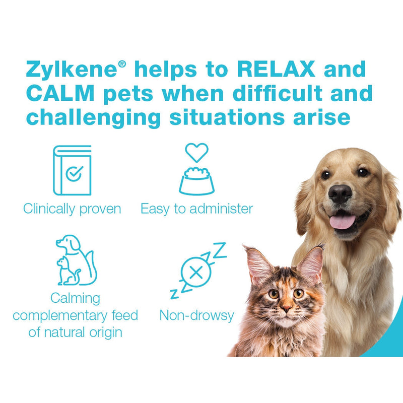 Zylkene Calming Supplement for Small Dogs and Cats 75mg