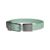 frank green Mint Gelato Dog Collar and Tag Medium-Habitat Pet Supplies