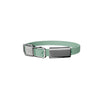 frank green Mint Gelato Dog Collar and Tag Small-Habitat Pet Supplies