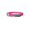 frank green Neon Pink Dog Collar and Tag Small-Habitat Pet Supplies