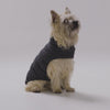 Snooza Dog Apparel Teddy Puffer Jacket Charcoal Medium