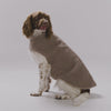 Snooza Dog Apparel Reversible Jacket Teddy Black Extra Large