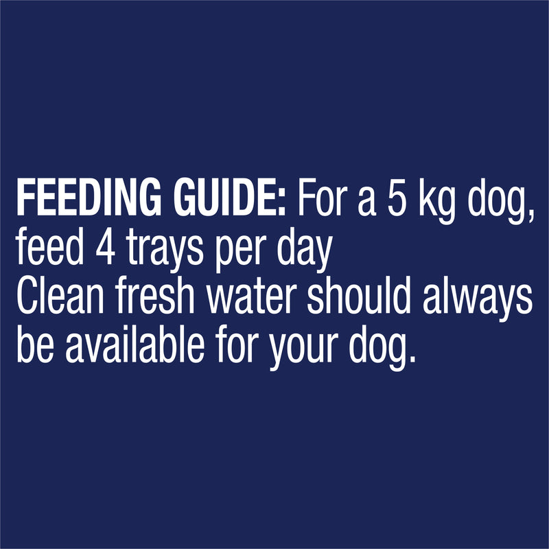 Advance Casserole with Salmon All Breed Adult Dog Wet Food 100g x 12