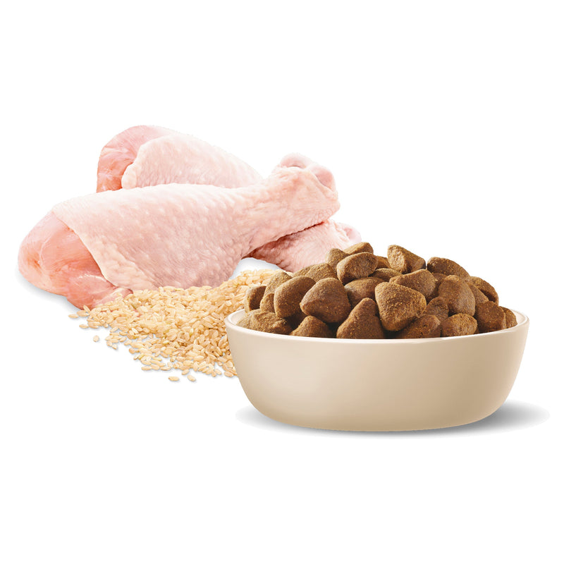 Advance Chicken and Rice Large Breed Adult Dog Dry Food 20kg~