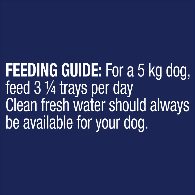 Advance Turkey and Rice Healthy Weight All Breed Adult Dog Wet Food 100g x 12