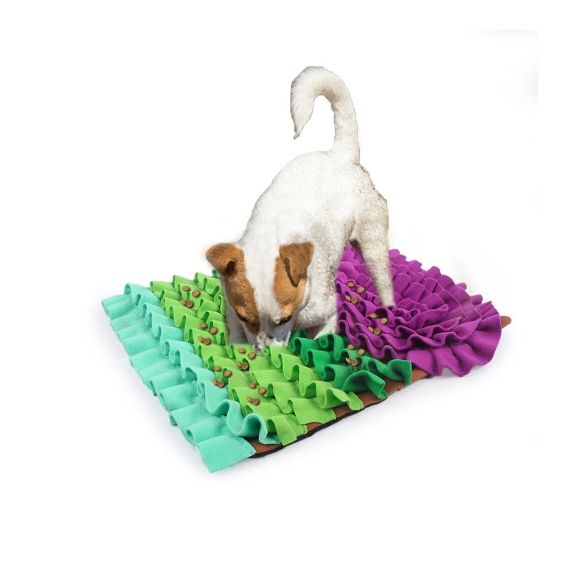 All For Paws Dig It Play and Treat Rectangular Fluffy Snuffle Mat Dog Toy-Habitat Pet Supplies