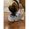 All Fur You Anti-Splash Dog Water Bowl 2L