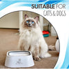 All Fur You Anti-Splash Dog Water Bowl 2L