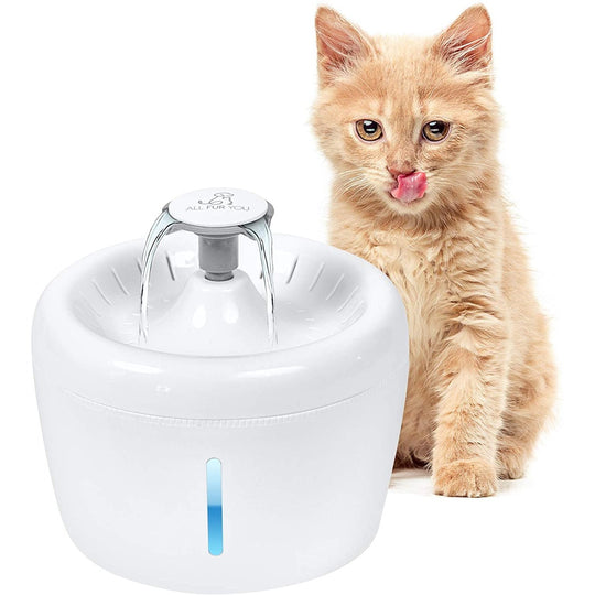 All Fur You Whisper Water Fountain