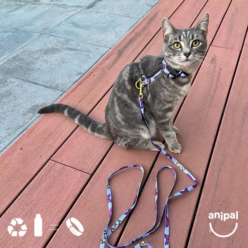 Anipal Bobby the Butterfly Recycled Cat Harness and Lead Small