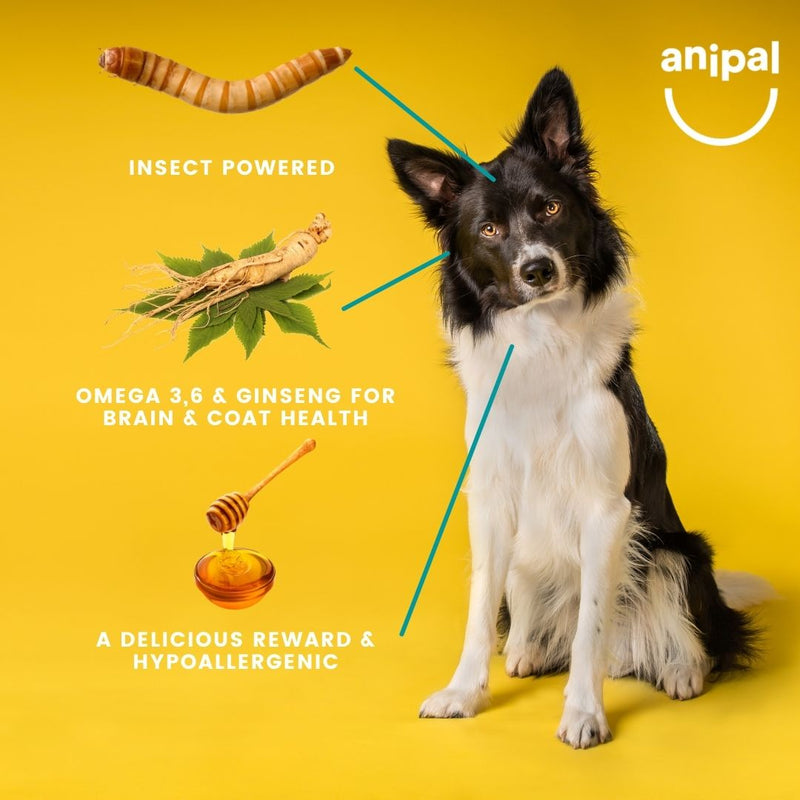 Anipal Earth Bites Learn and Reward Dog Treats 130g