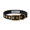 Animals in Charge All Weather Dog Collar Black and Brass Large***