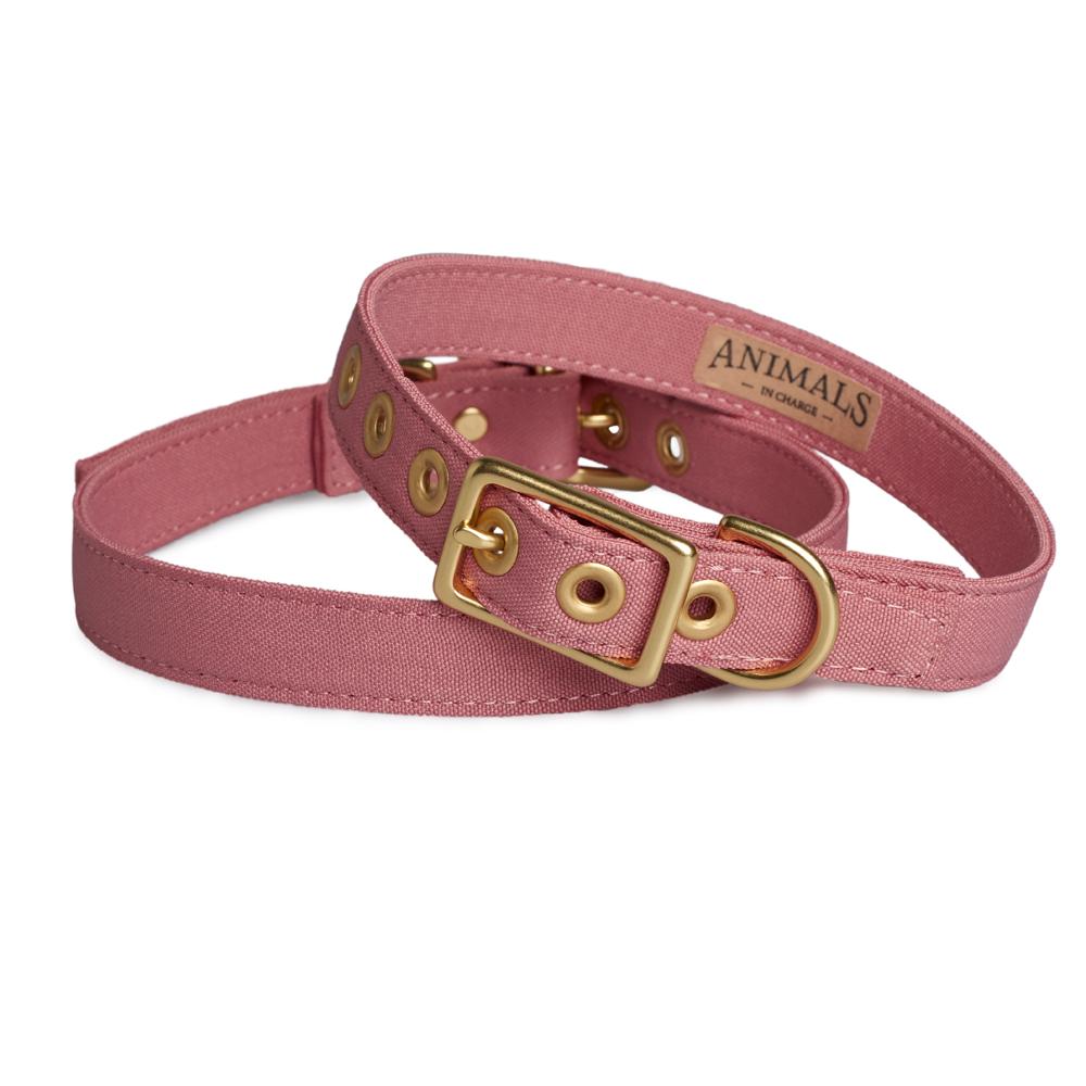 Animals in Charge All Weather Dog Collar Dusty Pink and Brass Extra Large***-Habitat Pet Supplies