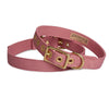 Animals in Charge All Weather Dog Collar Dusty Pink and Brass Small***-Habitat Pet Supplies