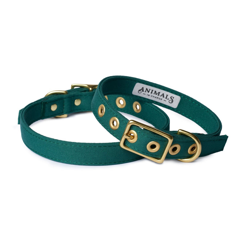 Animals in Charge All Weather Dog Collar Forest Green and Brass Extra Large***-Habitat Pet Supplies