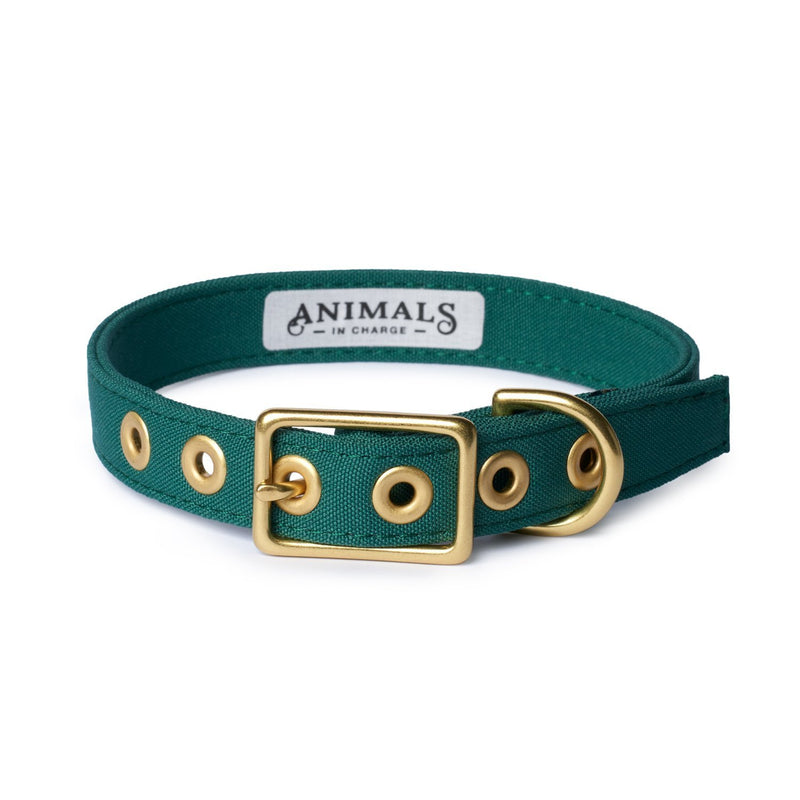 Animals in Charge All Weather Dog Collar Forest Green and Brass Small***