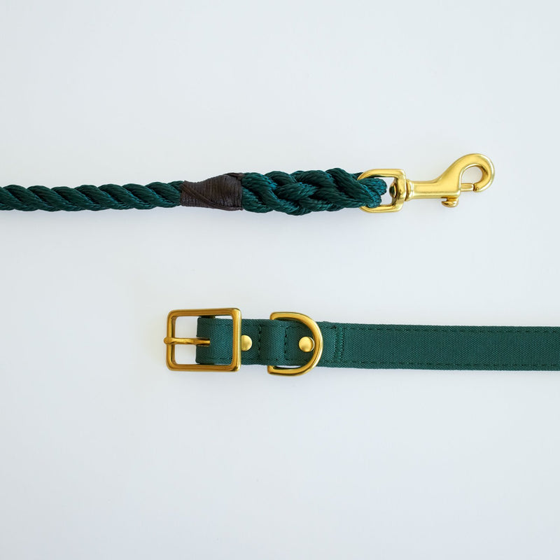 Animals in Charge All Weather Dog Collar Forest Green and Brass Small***