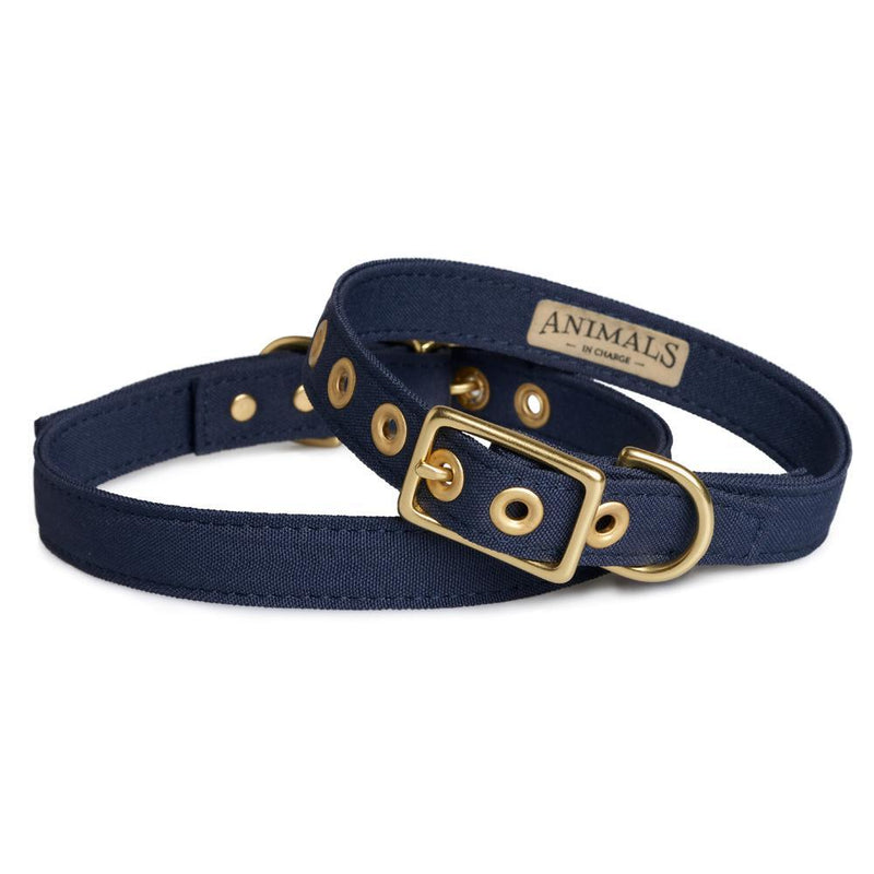 Animals in Charge All Weather Dog Collar Navy and Brass Extra Large***-Habitat Pet Supplies
