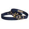 Animals in Charge All Weather Dog Collar Navy and Brass Large***-Habitat Pet Supplies