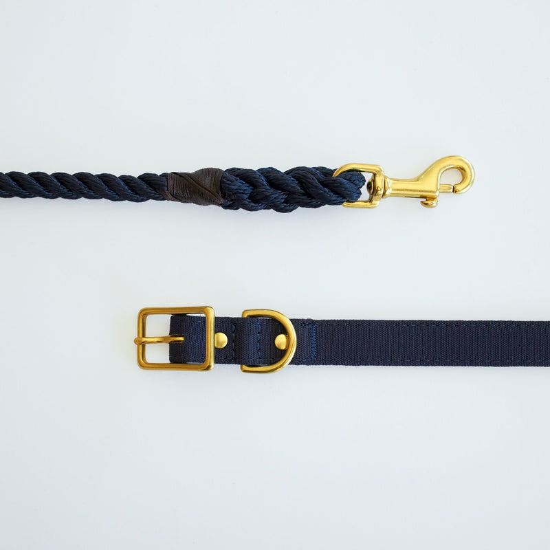 Animals in Charge All Weather Dog Collar Navy and Brass Medium***