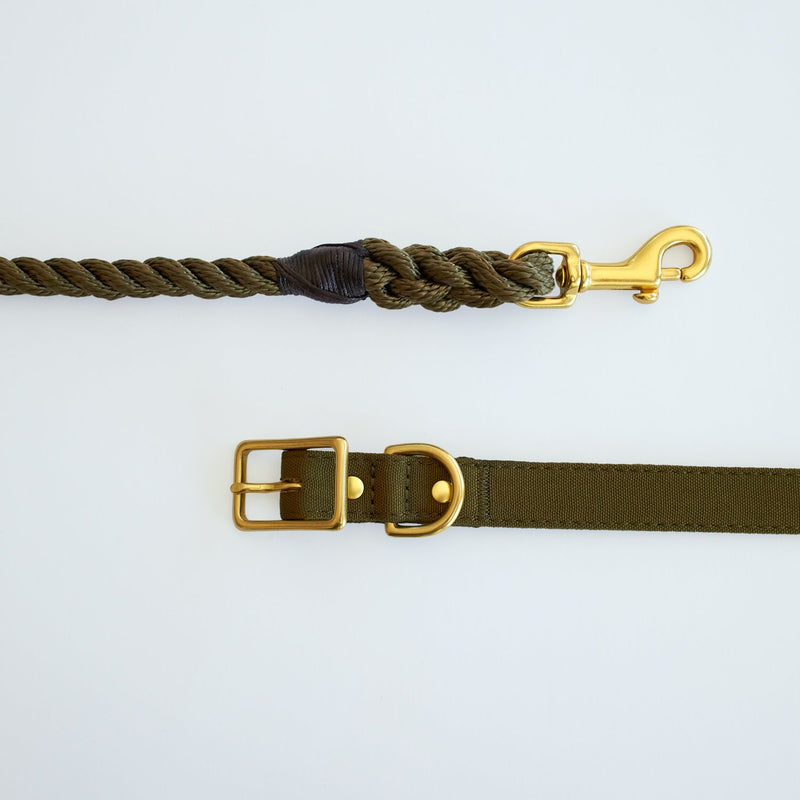 Animals in Charge All Weather Dog Collar Olive and Brass Large***